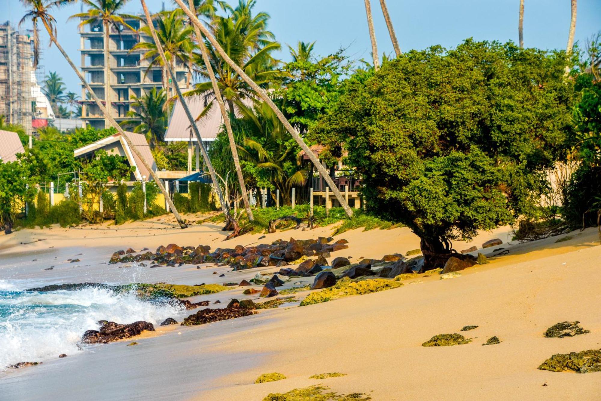 Ara Beach Resort Mirissa Exterior foto